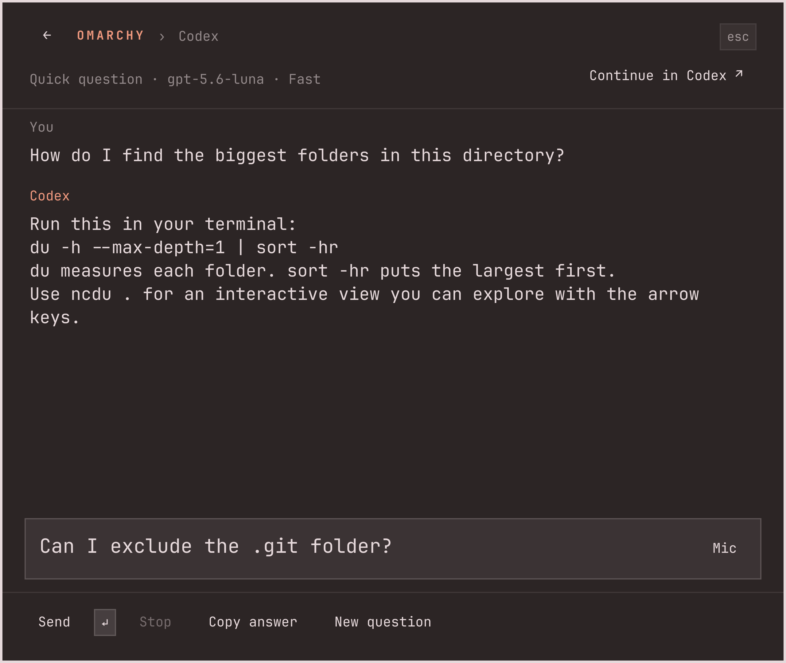 A Codex conversation about finding large folders, with a follow-up being typed
