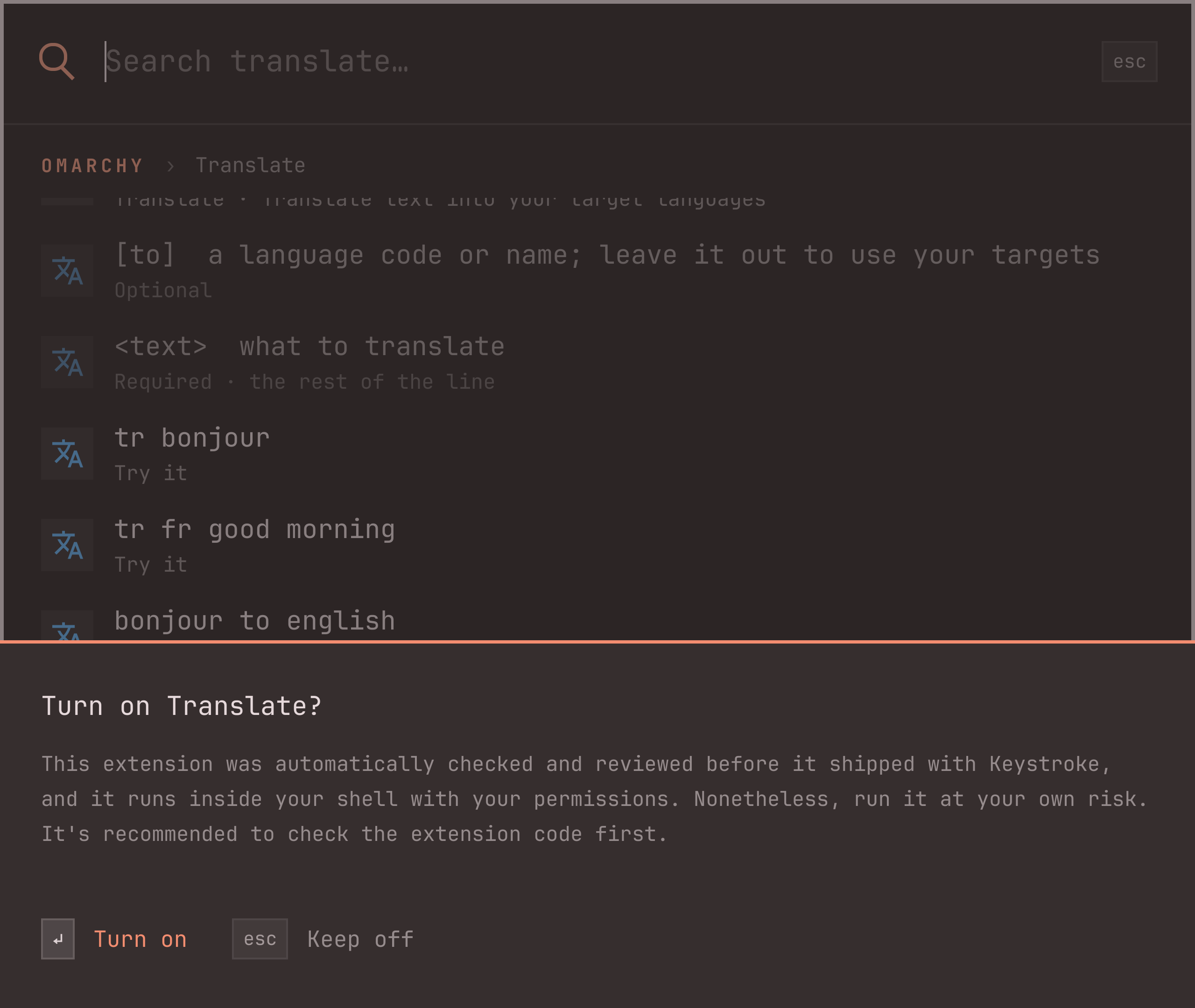 Turn on Translate? with a note that it was checked and reviewed, runs with your permissions, and that reading its code first is recommended