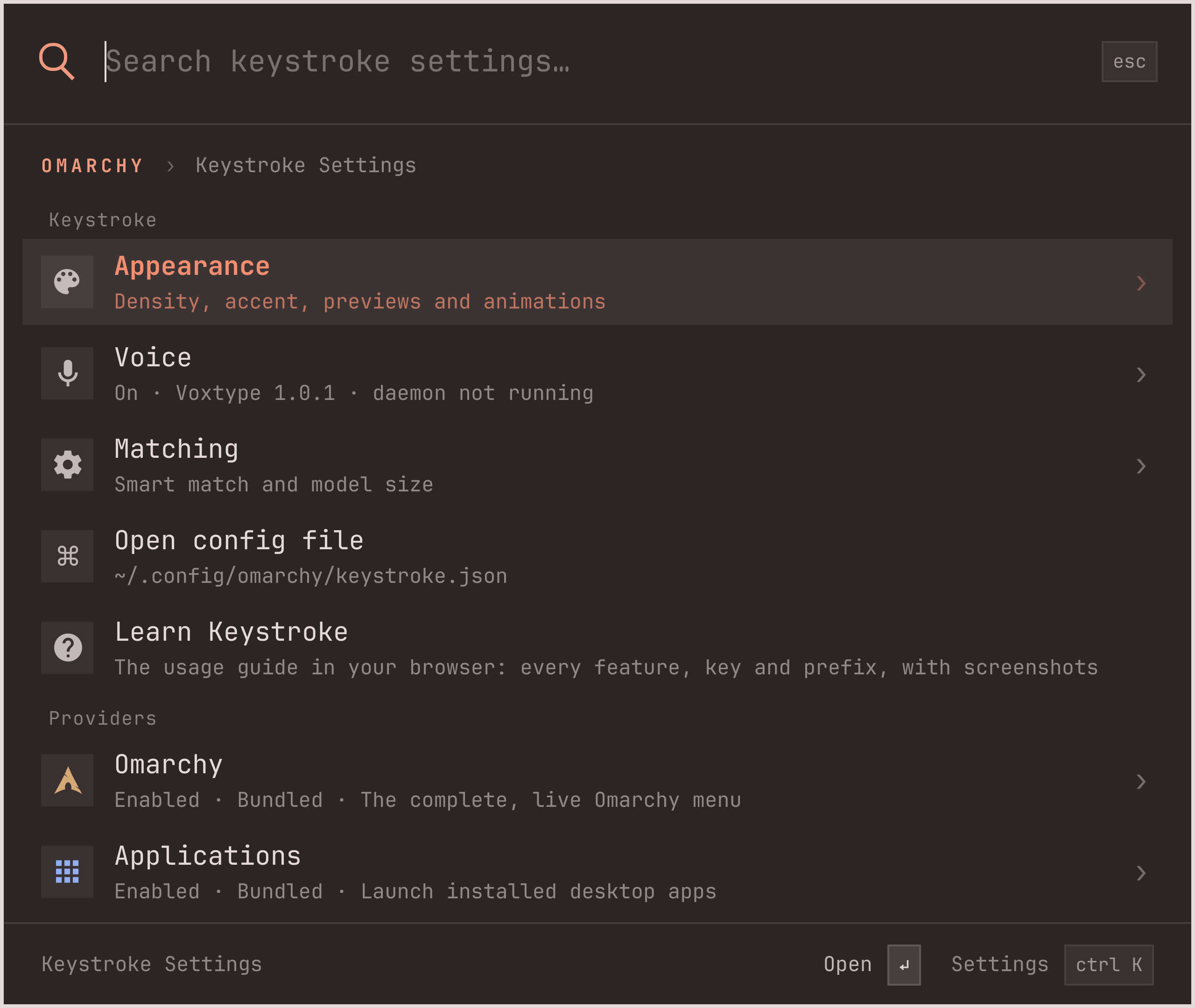 Keystroke Settings: Appearance, Voice, Matching, Open config file, then one row per provider